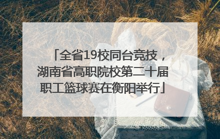 全省19校同台竞技，湖南省高职院校第二十届职工篮球赛在衡阳举行