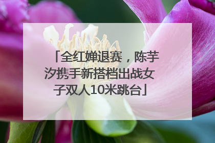 全红婵退赛，陈芋汐携手新搭档出战女子双人10米跳台