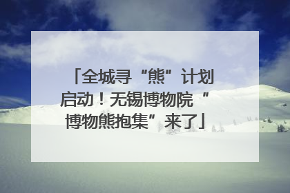 全城寻“熊”计划启动！无锡博物院“博物熊抱集”来了