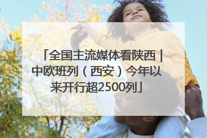 全国主流媒体看陕西｜中欧班列（西安）今年以来开行超2500列