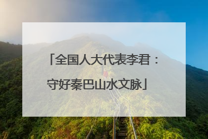 全国人大代表李君：守好秦巴山水文脉