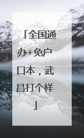 全国通办+免户口本，武昌打个样