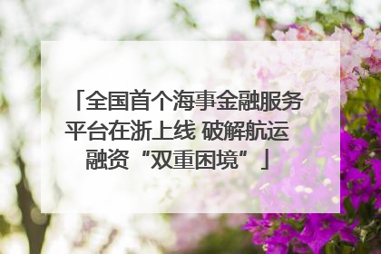 全国首个海事金融服务平台在浙上线 破解航运融资“双重困境”