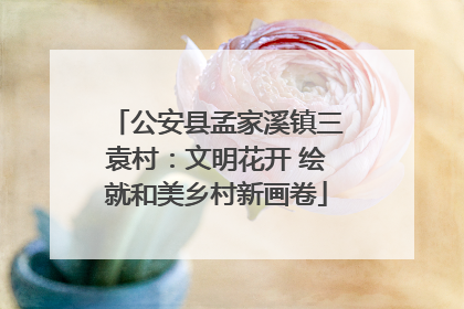 公安县孟家溪镇三袁村：文明花开 绘就和美乡村新画卷