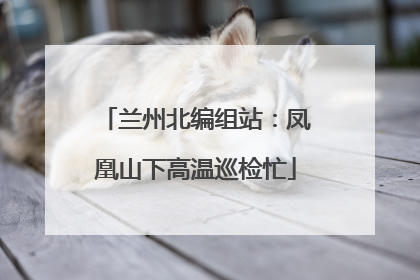 兰州北编组站：凤凰山下高温巡检忙