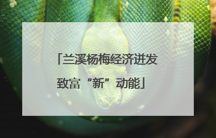 兰溪杨梅经济迸发致富“新”动能
