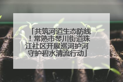 共筑河道生态防线！常熟市琴川街道珠江社区开展巡河护河守护碧水清流行动