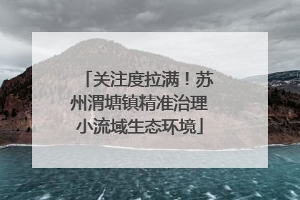关注度拉满！苏州渭塘镇精准治理小流域生态环境