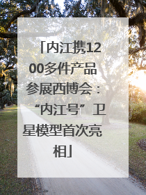 内江携1200多件产品参展西博会：“内江号”卫星模型首次亮相