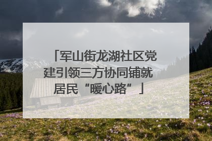 军山街龙湖社区党建引领三方协同铺就居民“暖心路”