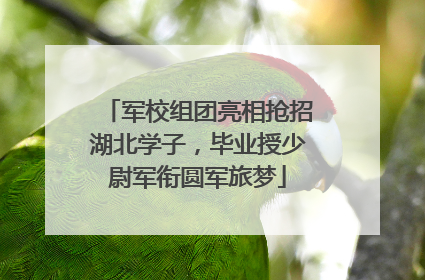 军校组团亮相抢招湖北学子，毕业授少尉军衔圆军旅梦