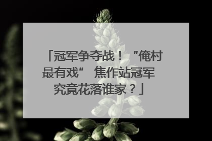 冠军争夺战！“俺村最有戏” 焦作站冠军究竟花落谁家？
