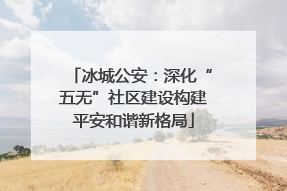 冰城公安：深化“五无”社区建设构建平安和谐新格局