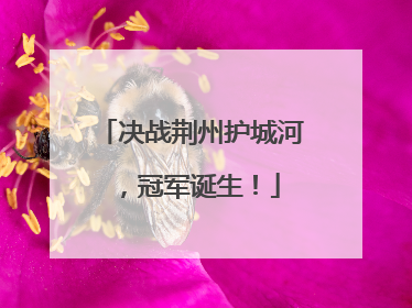 决战荆州护城河，冠军诞生！
