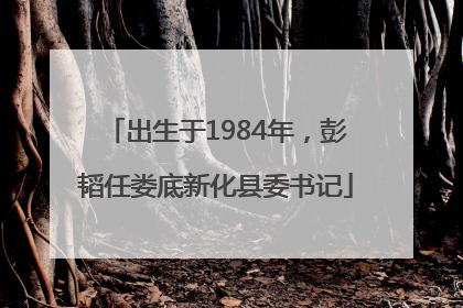 出生于1984年，彭韬任娄底新化县委书记
