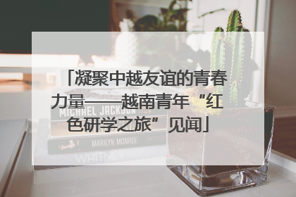 凝聚中越友谊的青春力量——越南青年“红色研学之旅”见闻
