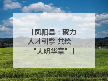 凤阳县：聚力人才引擎 共绘“大明华章”
