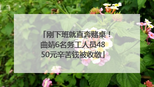 刚下班就直奔赌桌！曲靖6名务工人员4850元辛苦钱被收缴