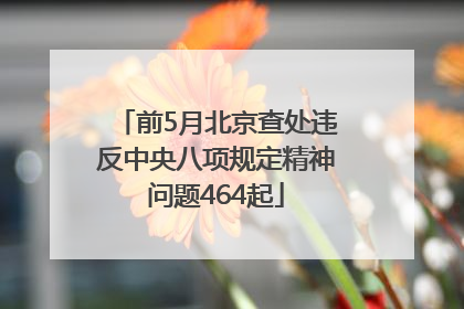 前5月北京查处违反中央八项规定精神问题464起