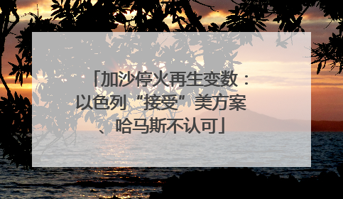 加沙停火再生变数：以色列“接受”美方案、哈马斯不认可