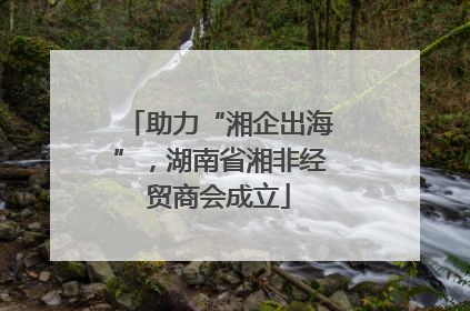 助力“湘企出海”，湖南省湘非经贸商会成立