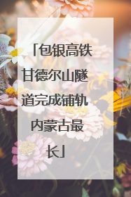 包银高铁甘德尔山隧道完成铺轨 内蒙古最长