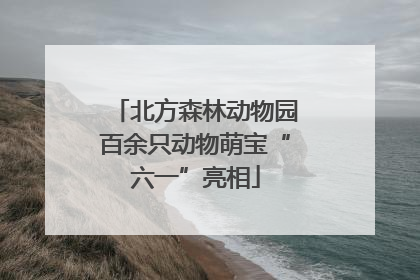 北方森林动物园百余只动物萌宝“六一”亮相