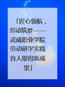 匠心领航，劳动筑梦——武威职业学院劳动研学实践育人取得新成果
