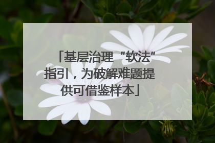 基层治理“软法”指引，为破解难题提供可借鉴样本