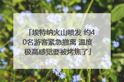 埃特纳火山喷发 约40名游客紧急撤离 温度极高感觉要被烤焦了
