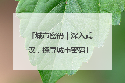 城市密码｜深入武汉，探寻城市密码