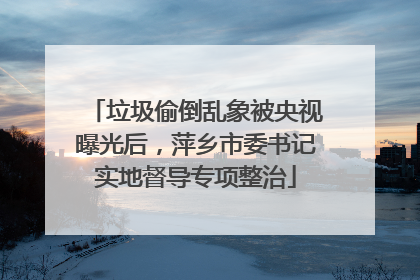 垃圾偷倒乱象被央视曝光后，萍乡市委书记实地督导专项整治