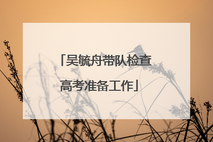 吴毓舟带队检查高考准备工作