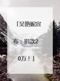吴艳妮宣布：捐款20万！