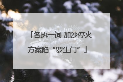 各执一词 加沙停火方案陷“罗生门”