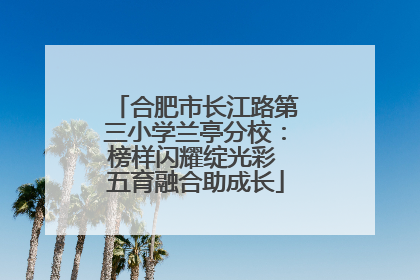 合肥市长江路第三小学兰亭分校：榜样闪耀绽光彩 五育融合助成长