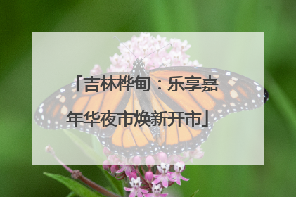 吉林桦甸：乐享嘉年华夜市焕新开市