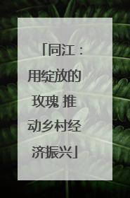 同江：用绽放的玫瑰 推动乡村经济振兴