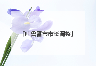 吐鲁番市市长调整