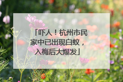 吓人！杭州市民家中已出现白蚁，入梅后大爆发