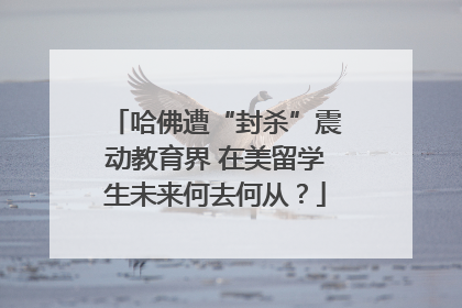 哈佛遭“封杀”震动教育界 在美留学生未来何去何从？