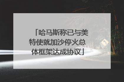 哈马斯称已与美特使就加沙停火总体框架达成协议