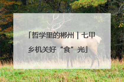 哲学里的郴州｜七甲乡机关好“食”光