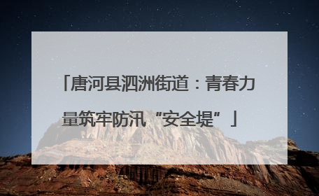 唐河县泗洲街道：青春力量筑牢防汛“安全堤”