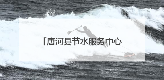 唐河县节水服务中心：火速抢修保供水 三千村民用水无忧