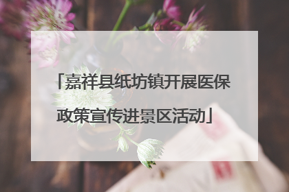 嘉祥县纸坊镇开展医保政策宣传进景区活动
