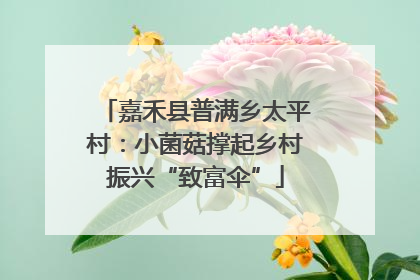 嘉禾县普满乡太平村：小菌菇撑起乡村振兴“致富伞”