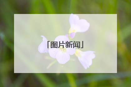 图片新闻