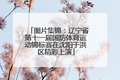 图片集锦：辽宁省第十一届国防体育运动锦标赛在沈阳于洪区精彩上演
