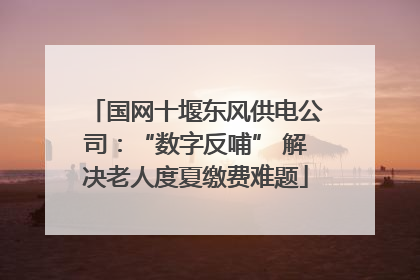 国网十堰东风供电公司：“数字反哺” 解决老人度夏缴费难题